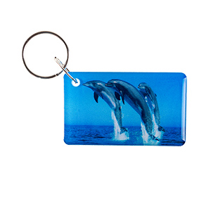 Брелок EM-Marine перезаписываемый RFID 5577 "Дельфин"