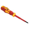 Купить отвертка диэлектрическая ekf master basic ph-2-100-mas-in (ph2х100мм, двухкомпонентная рукоятка, изоляционная защита до 1000в, магнитный наконечник) в Калининграде, цена, сравнение характеристик, в наличии в магазинах ТД Безопасный Город