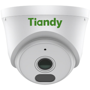 Купольная IP камера видеонаблюдения Tiandy TC-C320N V2.0 (2.8, 108°, 2Мп, Только PoE, Микрофон, Детекция движения, Грозозащита, ИК 30м)