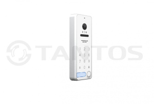 Вызывная и кодонаборная панель Tantos iPanel 2 WG EM KBD HD (белый, 110°, 1080p, 720p, CVBS)
