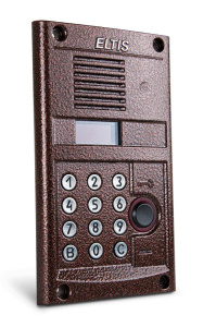 Блок вызова ELTIS DP300-RD24 (Аудио, До 200 абонентов, EM-Marine, Бронза-антик металлик)