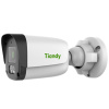 уличная ip камера видеонаблюдения tiandy tc-c321n v2.0 (2.8, 108°, 2мп, только poe, микрофон, детекция движения, грозозащита, ip67, ик 30м) в Калининграде, цена.