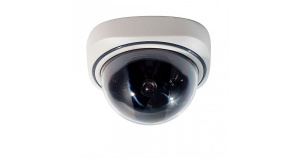 Муляж купольный камеры REXANT 45-0210 (белый, для помещения, индикация 2*AA батарейки)