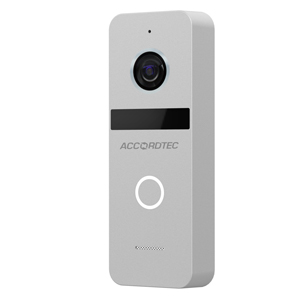 Вызывная панель AccordTec AT-VD 308H SL (Серый, Накладной, 800 ТВЛ, 110°, ИК-подсветка, IP66)^