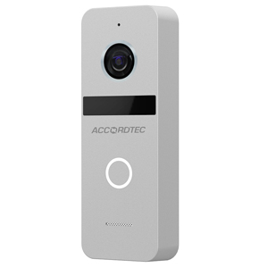 Вызывная панель AccordTec AT-VD A309H SL (Серебро, Накладной, 800 ТВЛ, 110°, ИК-подсветка, IP66)^