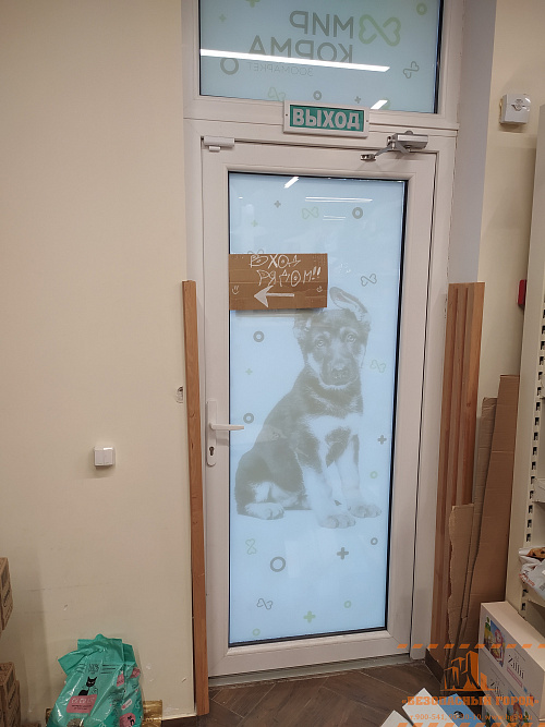 Установка сигнализации в зоомагазине