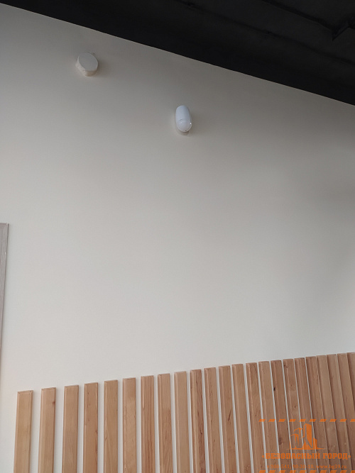 Установка сигнализации в зоомагазине